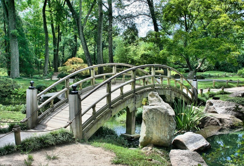 Japanese Garden Serenity